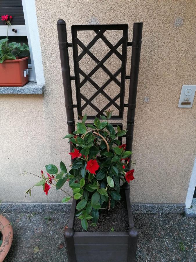 Le Palme Hotel Monteceneri Kültér fotó
